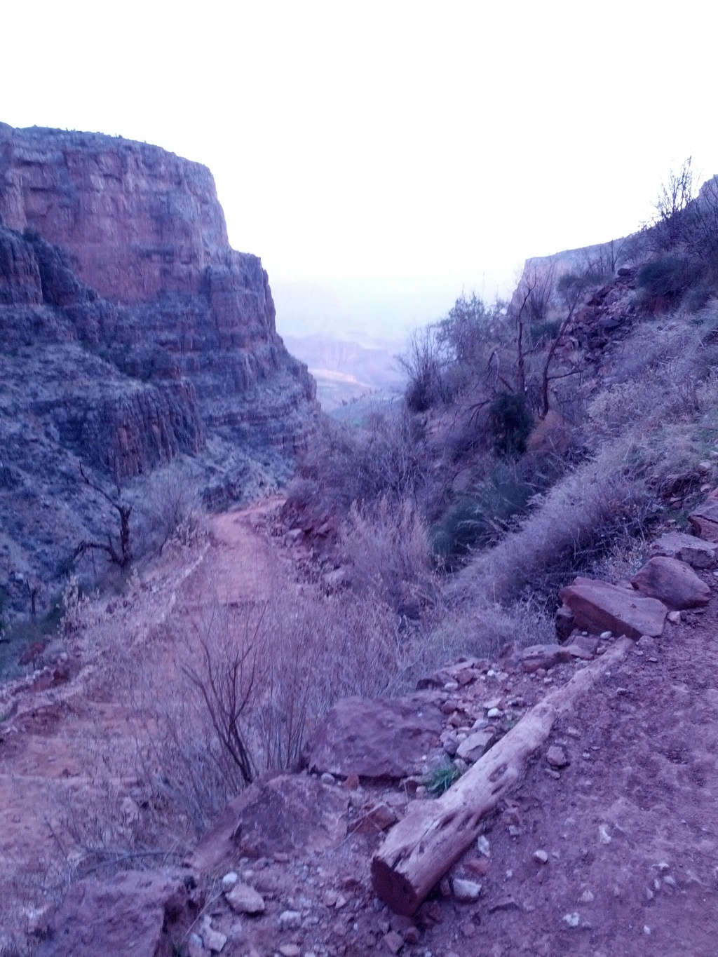 IMG_20130317_070005.jpg